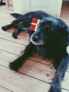 Processed with VSCOcam with p5 preset