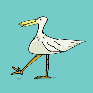 pizza gull with pizza