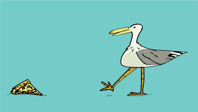 pizza gull with pizza july