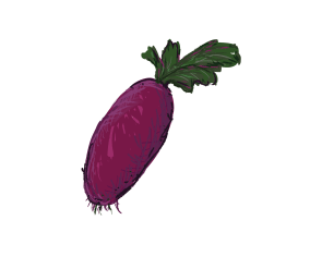 beet 1